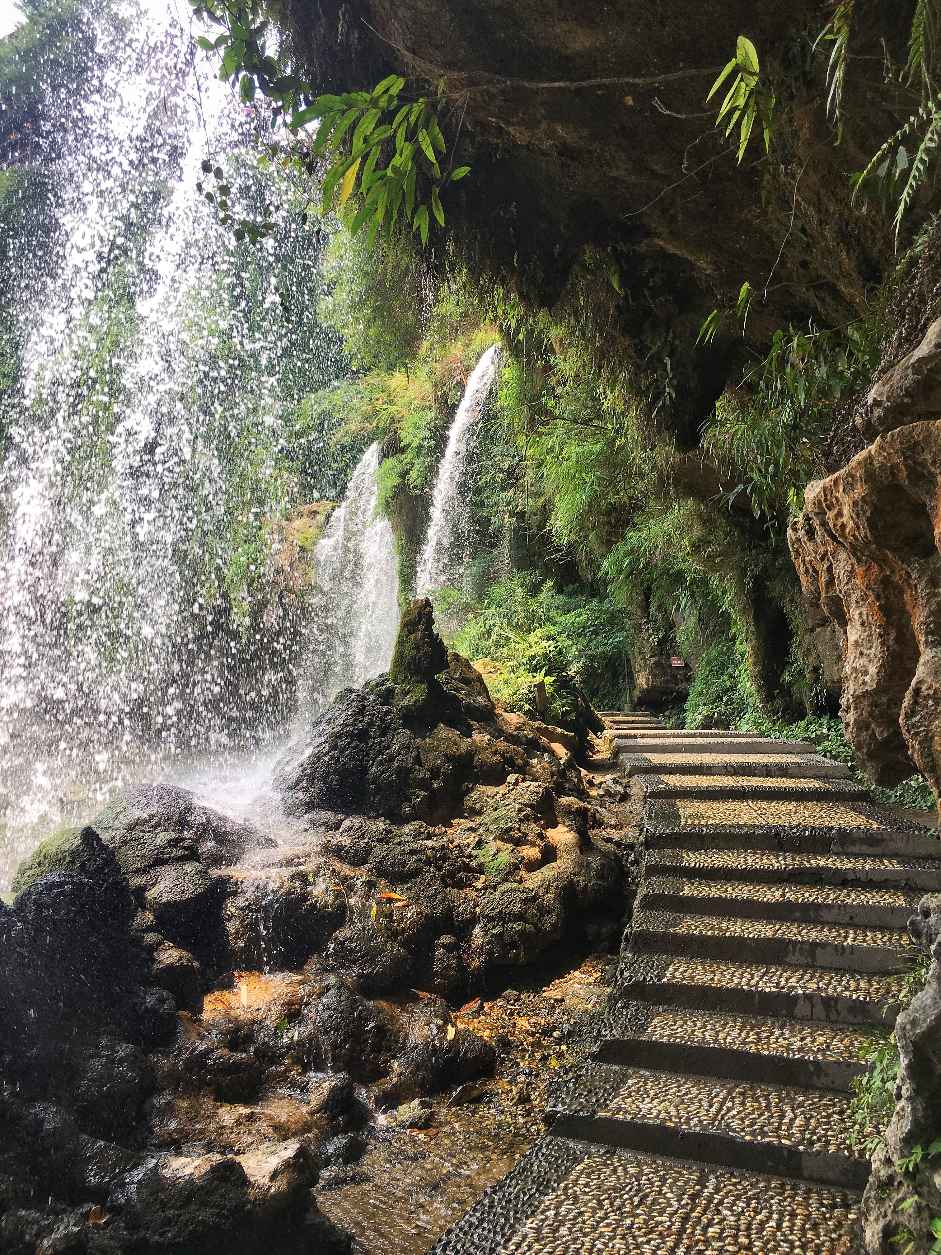 WeChat Image_20190905160524.jpg